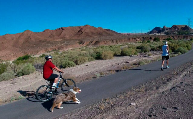 Bike Leash Buddy for Dogs