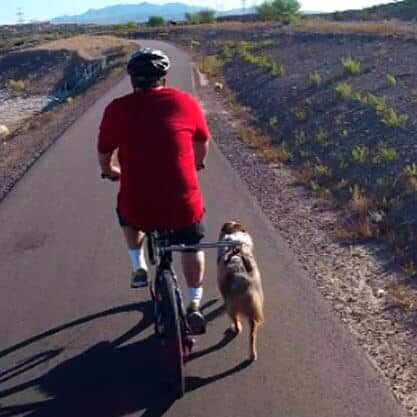Dog Leash Bicycle Accessory