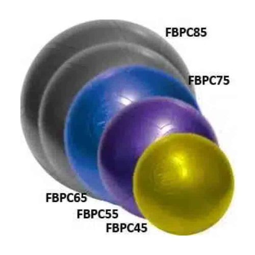 fitterfirst-duraball-pro-exercise-ball-21-purple
