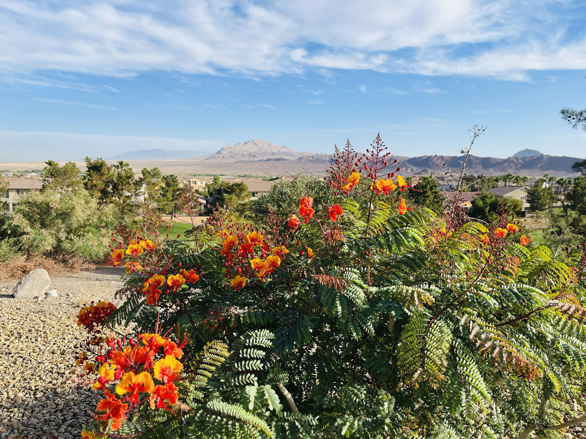 Debra Stefan Fitness Retreat Scenery