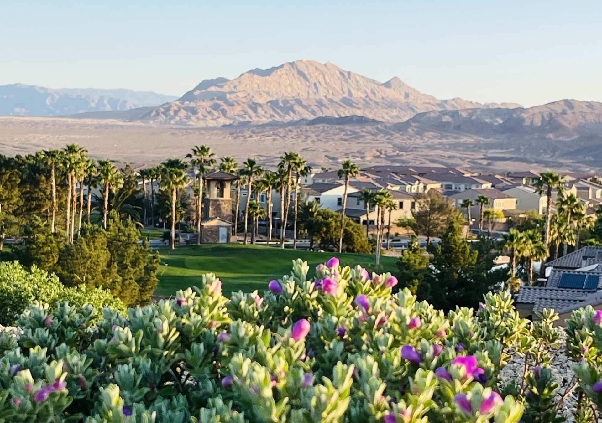 Adult Weight Loss Camp Scenery