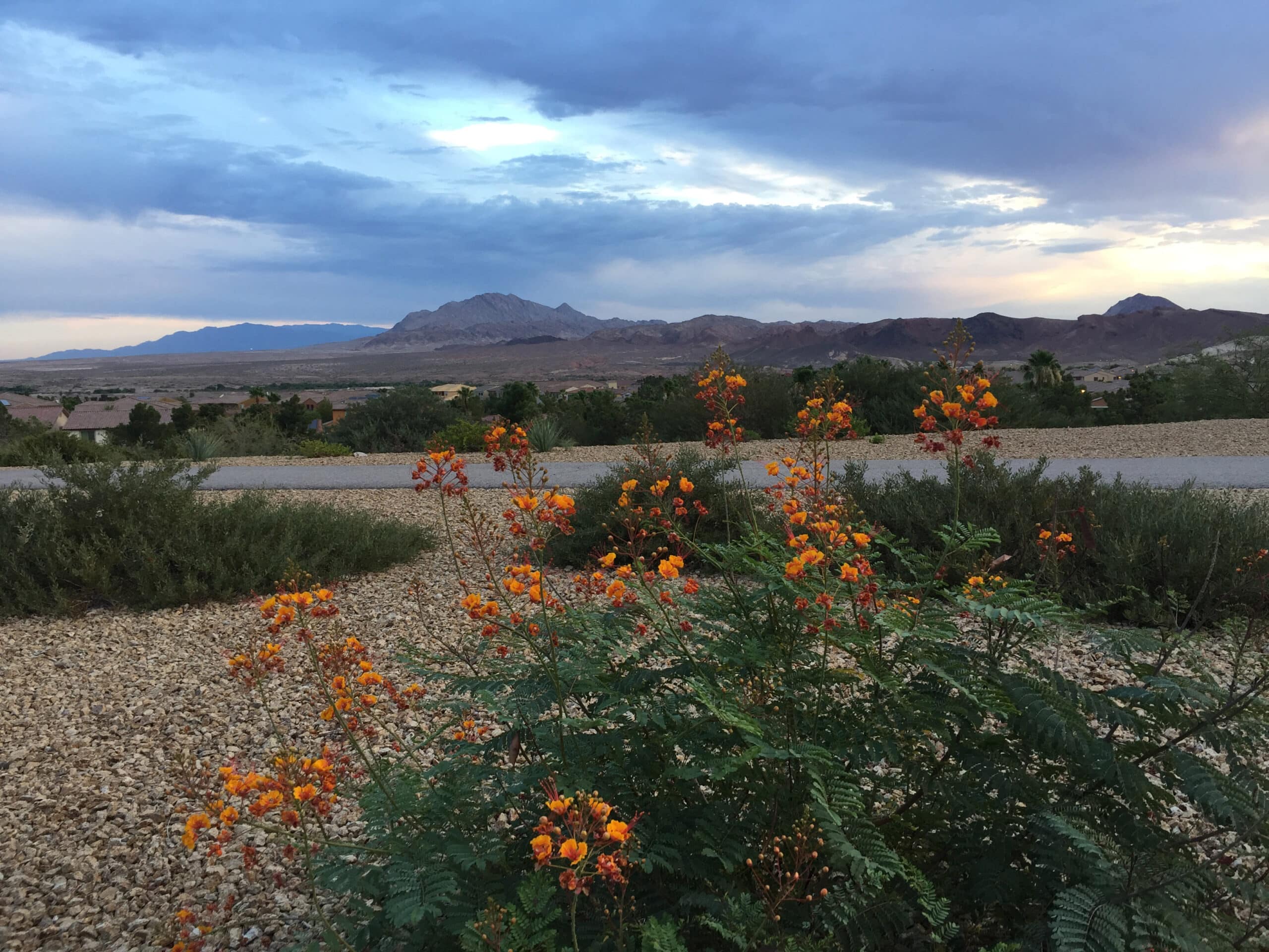 Adult Weight Loss Camp Scenery